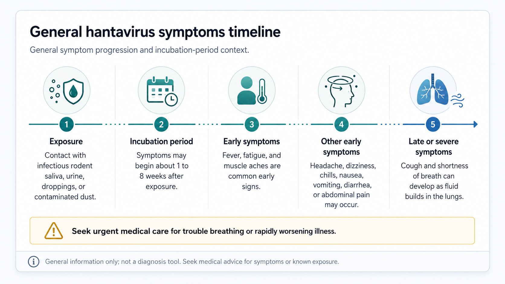 General hantavirus symptoms timeline showing exposure, incubation period, early symptoms, other symptoms, late or severe symptoms, and a warning to seek urgent care for trouble breathing or rapidly worsening illness.