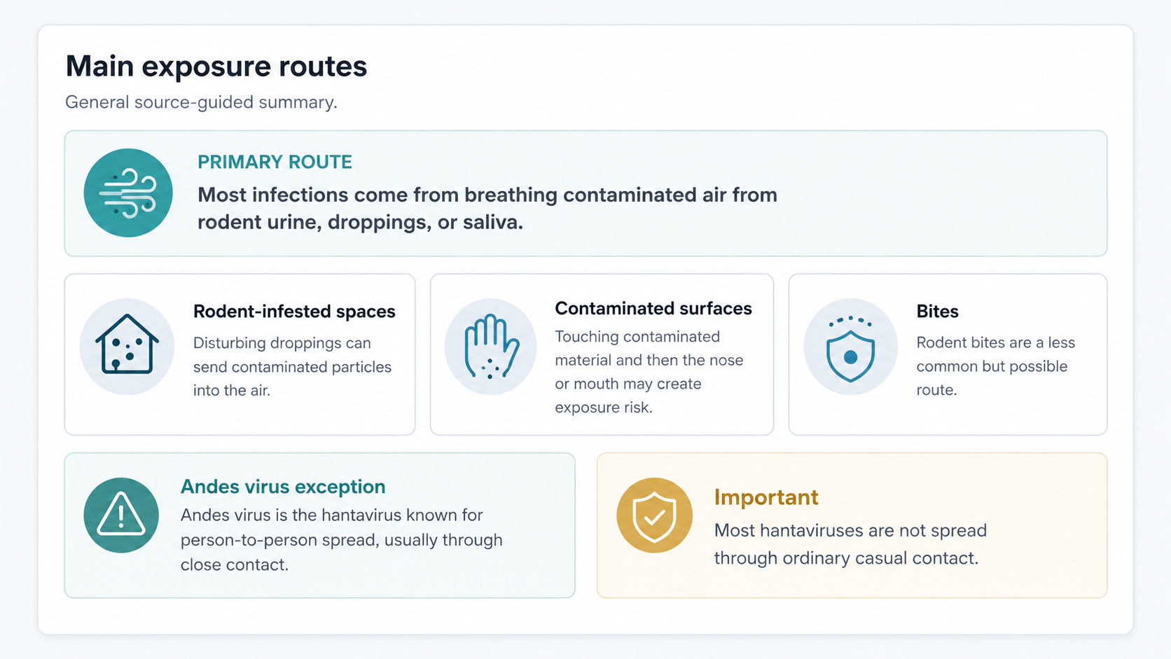 Infographic explaining common hantavirus exposure routes, including contaminated air from rodent urine, droppings, or saliva, contaminated surfaces, bites, and the Andes virus person-to-person exception.
