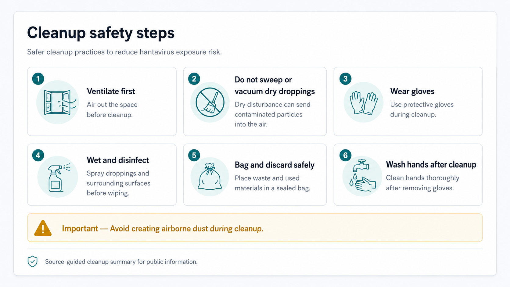 Infographic summarizing mouse-droppings cleanup safety steps, including ventilating first, avoiding dry sweeping or vacuuming, wearing gloves, wetting and disinfecting, bagging waste, and washing hands.